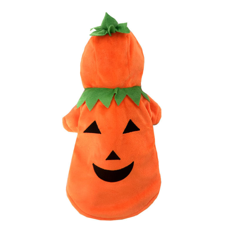 backside smiling orange pumpkin dog costume