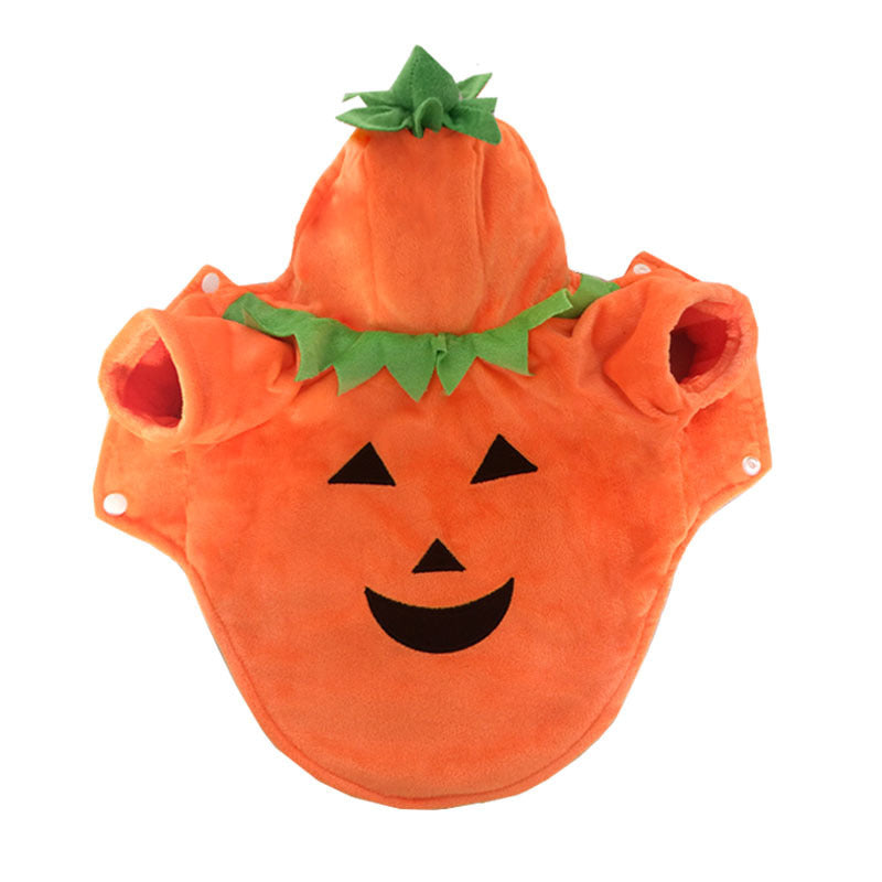 smiling orange pumpkin dog costume