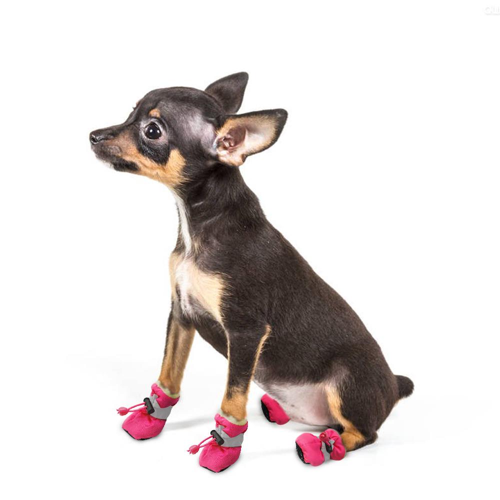 small black dog wearing pink dog mittens white background