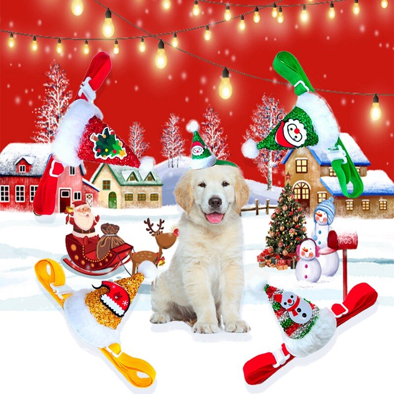 dog siting with christmas hats wonderland