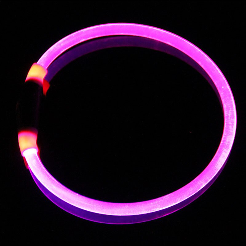 purple dog light up glow collar black background