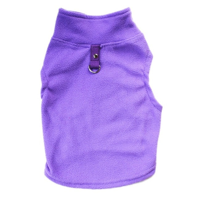 purple dog fleece white background