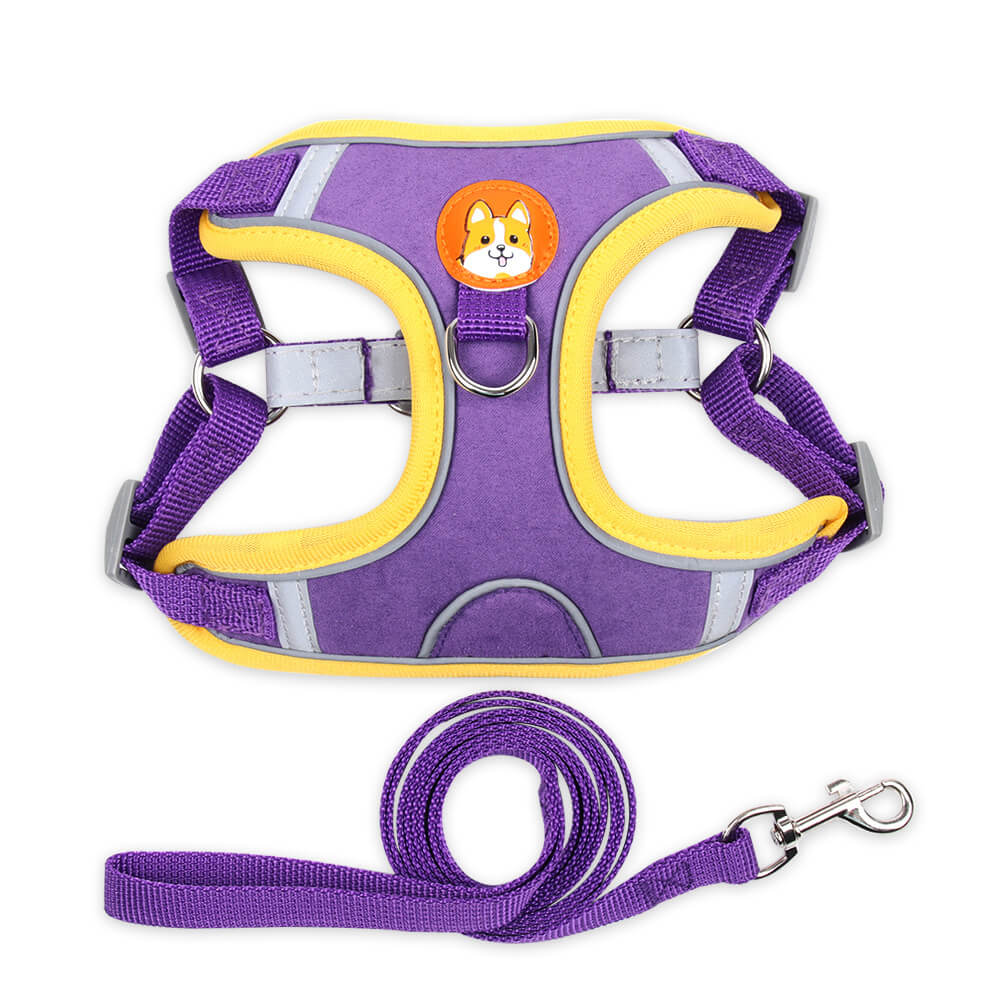 purple dog harness leash white backgroundd