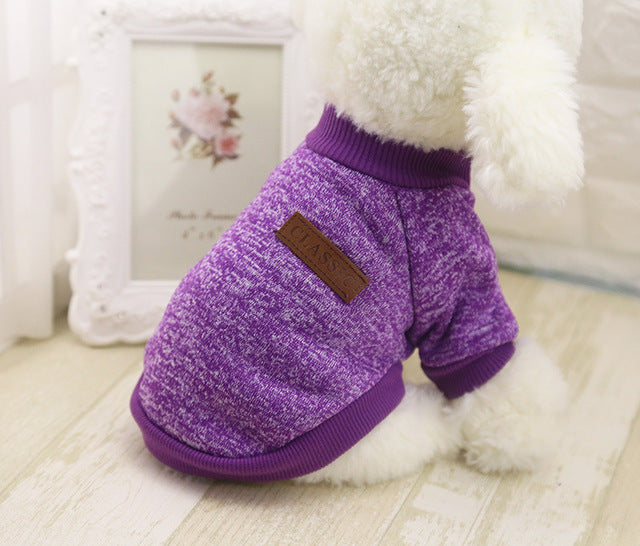 purple winter dog sweater sitting