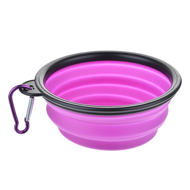 purple black rim collapsible dog bowl