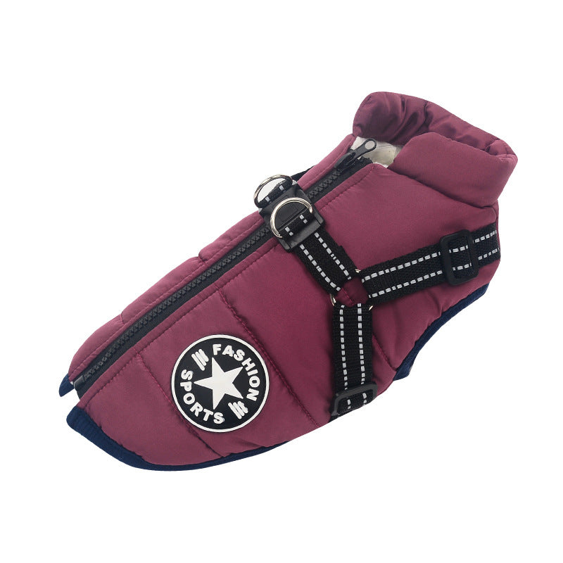 purple sports fashion dog coat