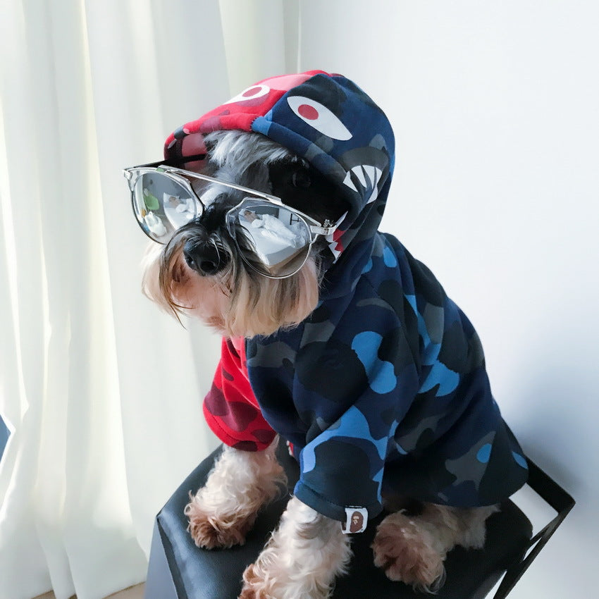 red blue shirt dog sitting glasses