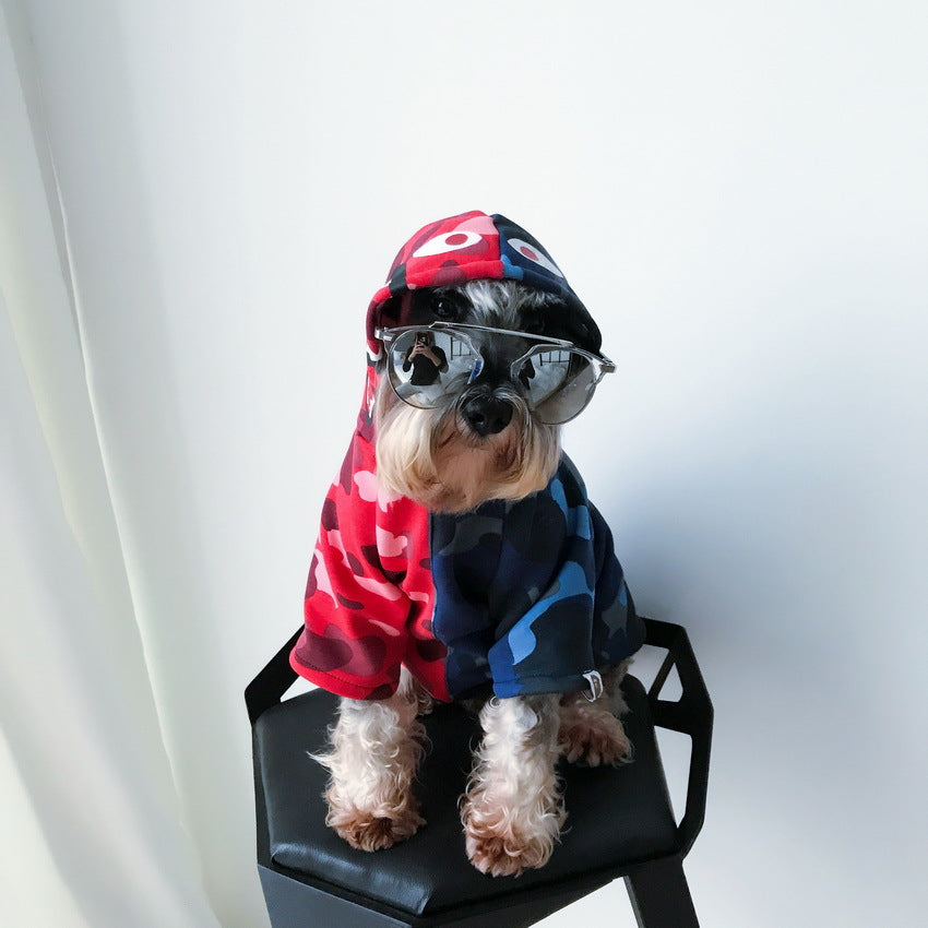 red blue shirt dog sitting stool