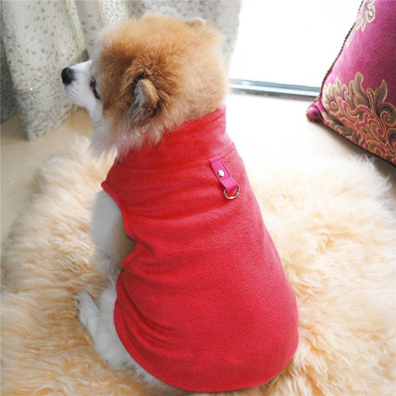 small dog wearing red polar fleece