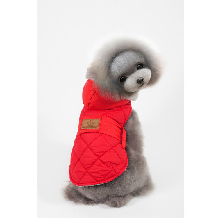 little dog wearing red cotton coat white grey background