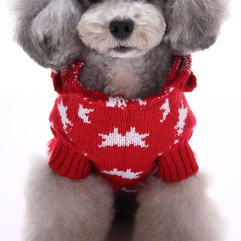 closeup red knitted dog sweater 