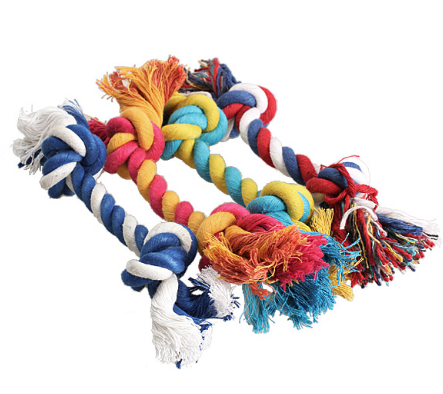 four colored rope toys laid out white background