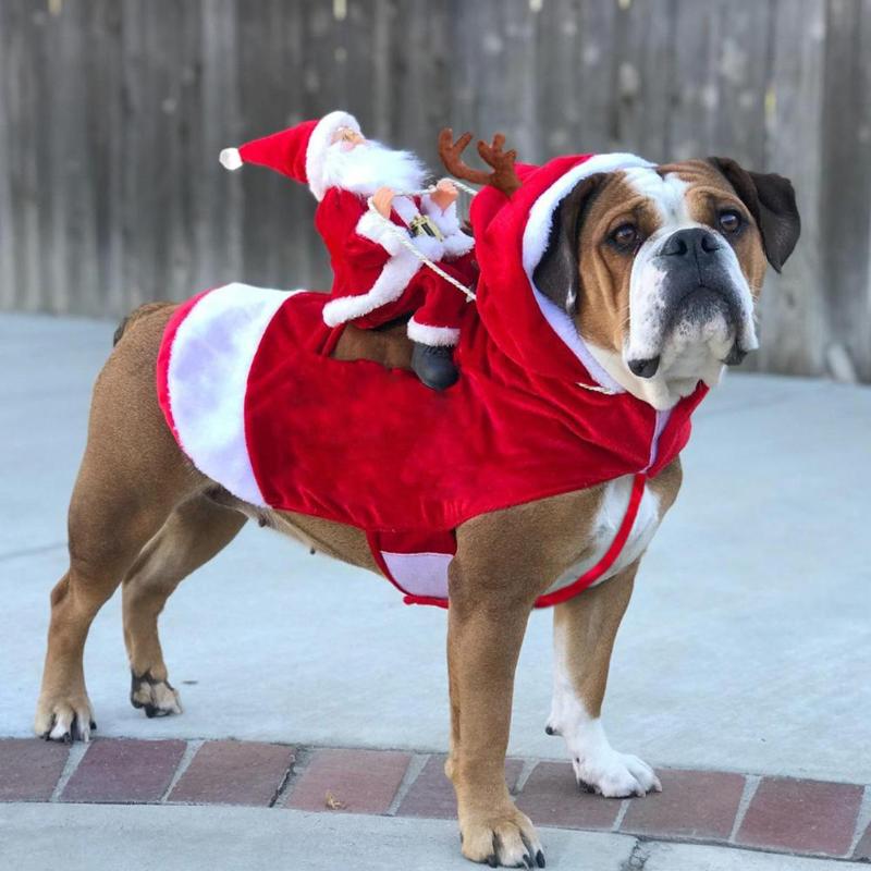 santa riding a dog in snow cute puppy costume