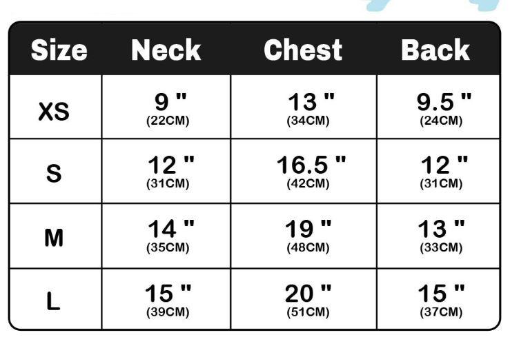 sixing chart for red dog snowman shirt