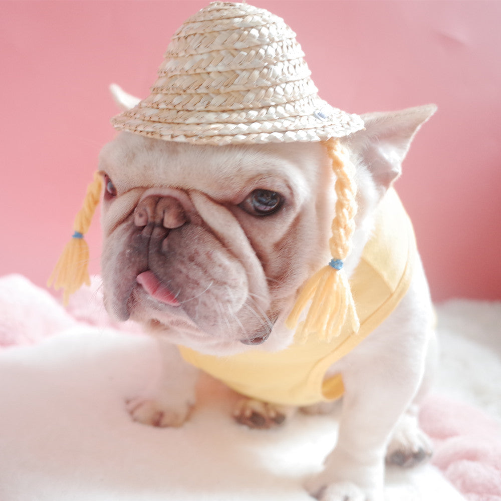 dog braided hat blonde braids pink background