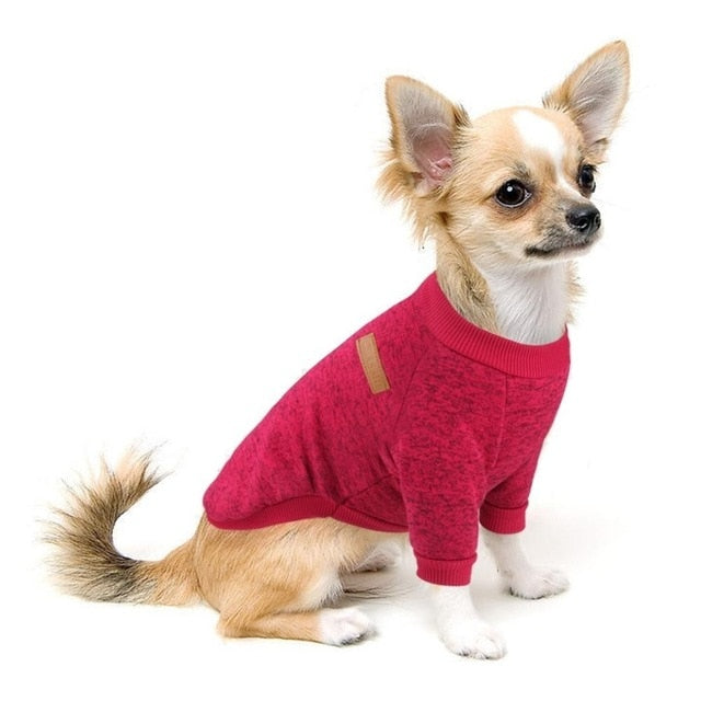 small dog red winter sweater