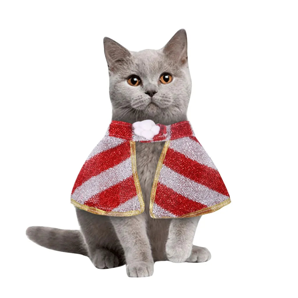 red white christmas cape on cat