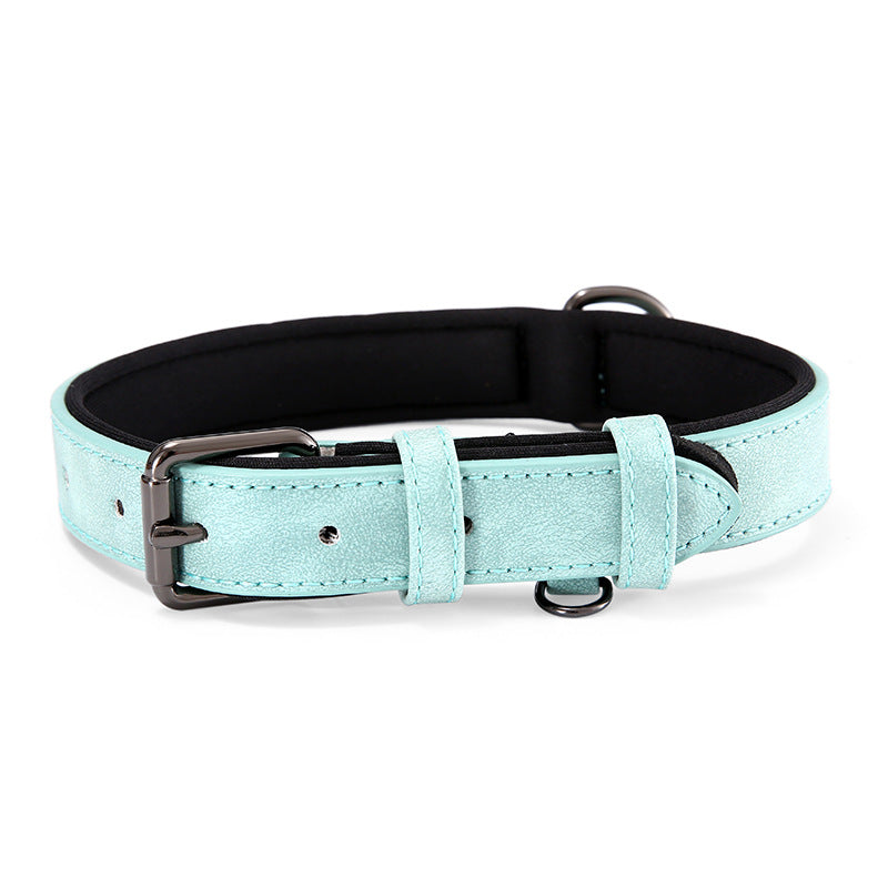 light blue teal dog collar