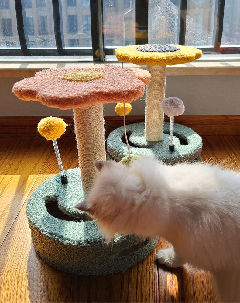 two cat scratching posts yellow pink