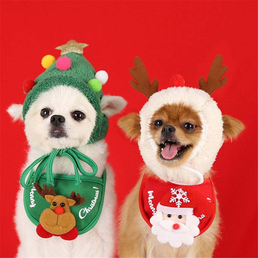 two dogs green red christmas outfits