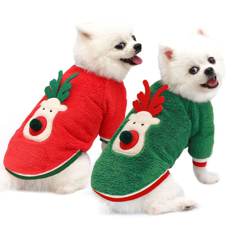 two white small dogs red green reindeer sweater