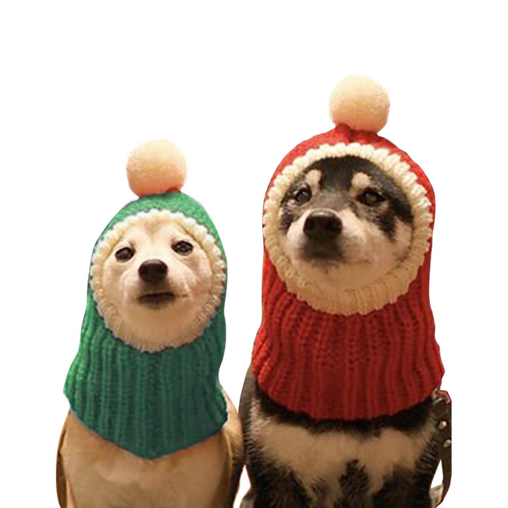 two small dogs red green pullovers white balls white background