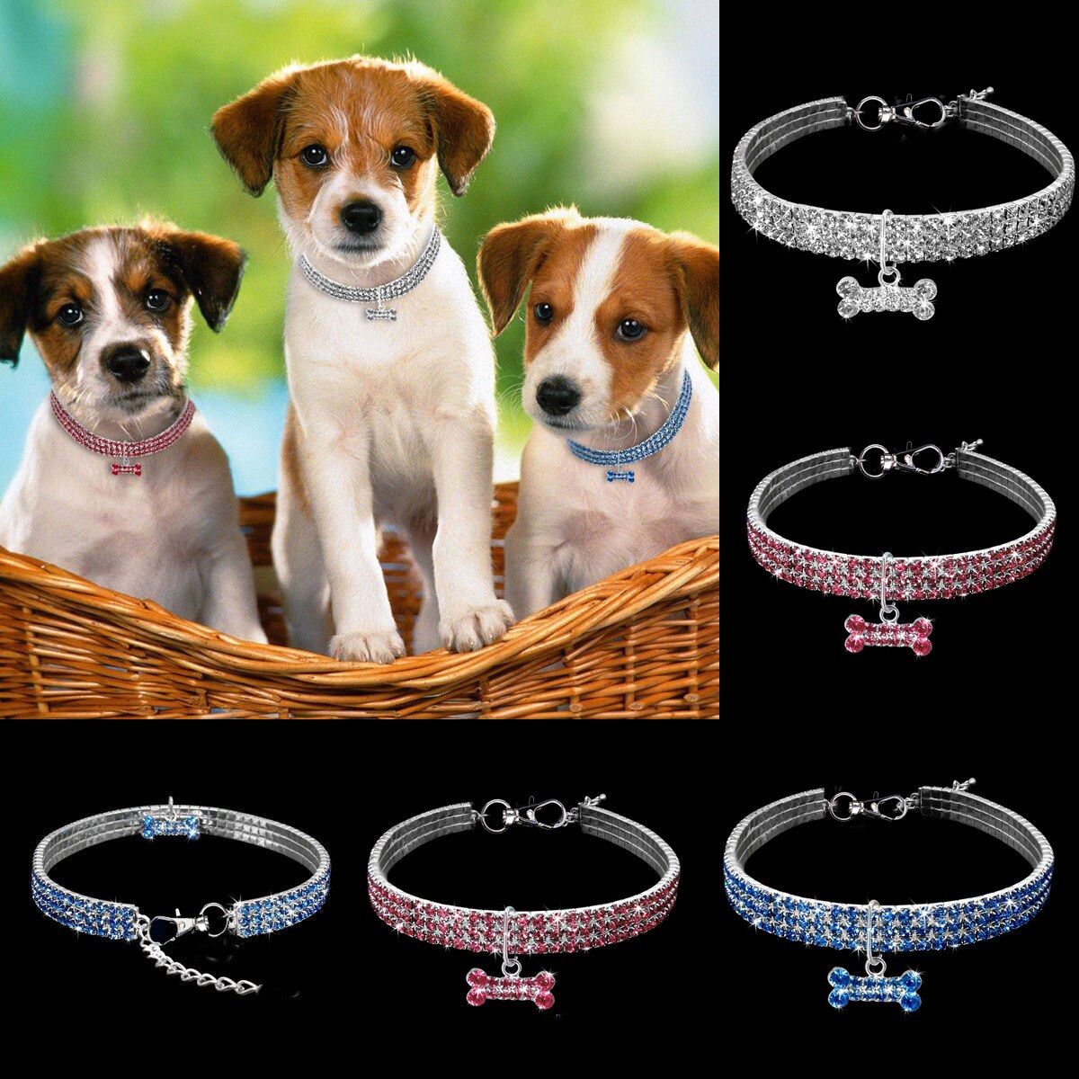 three puppies crystal dog collars blue white pink