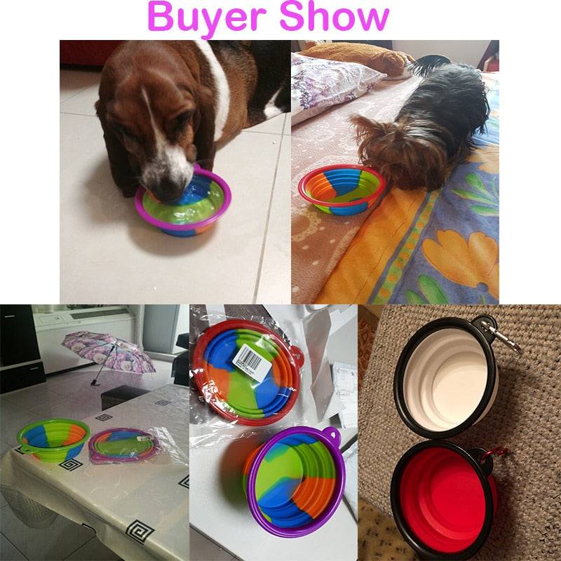 collapsible dog bowls used