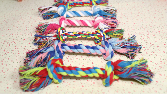 colorful dog rope toys lined up sidewalk