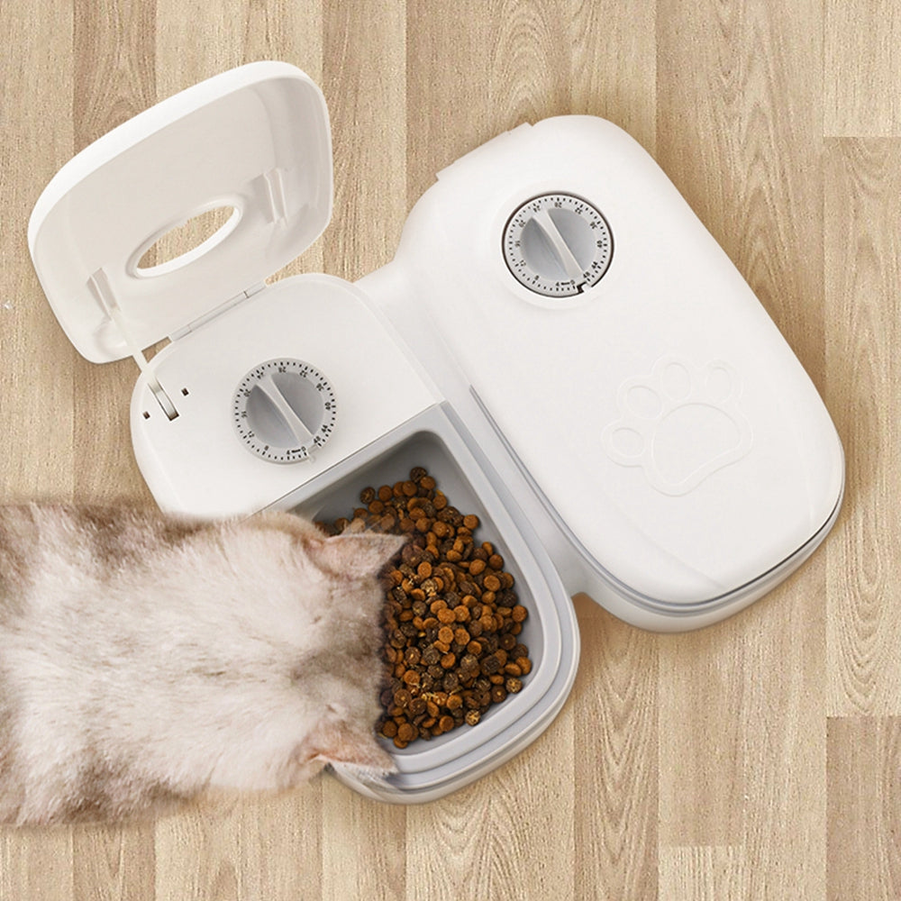 cat eating from food dispenser