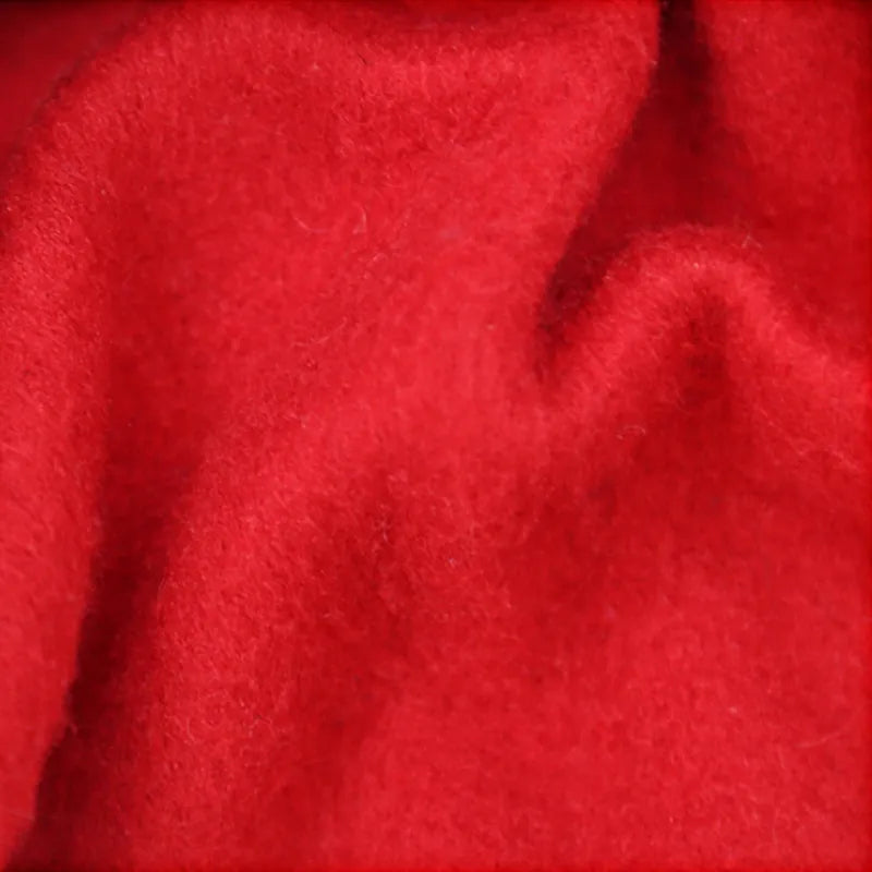 close up red material santa dog suit