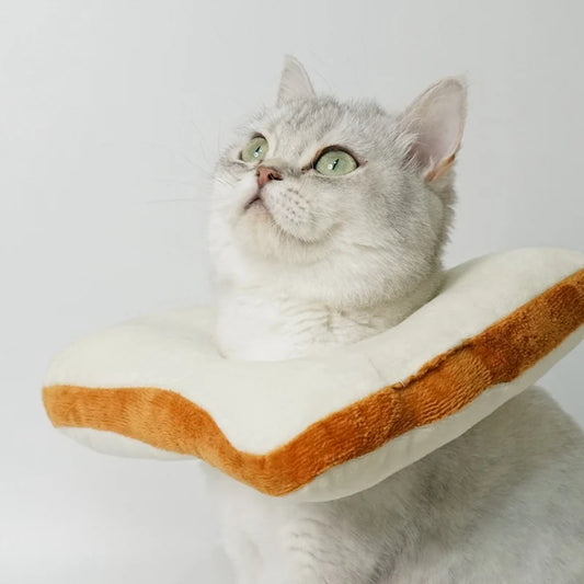 cat head bread collar