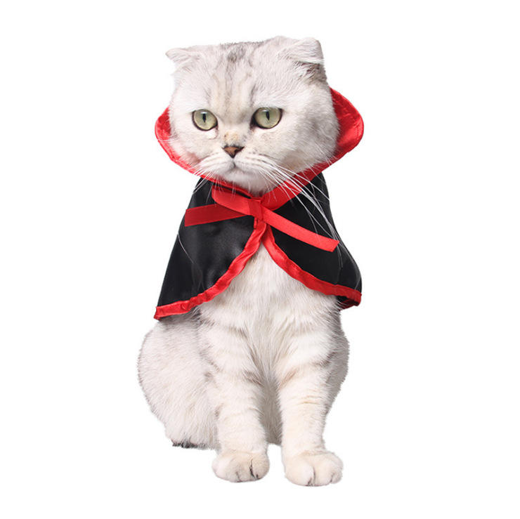 white cat black red cloak