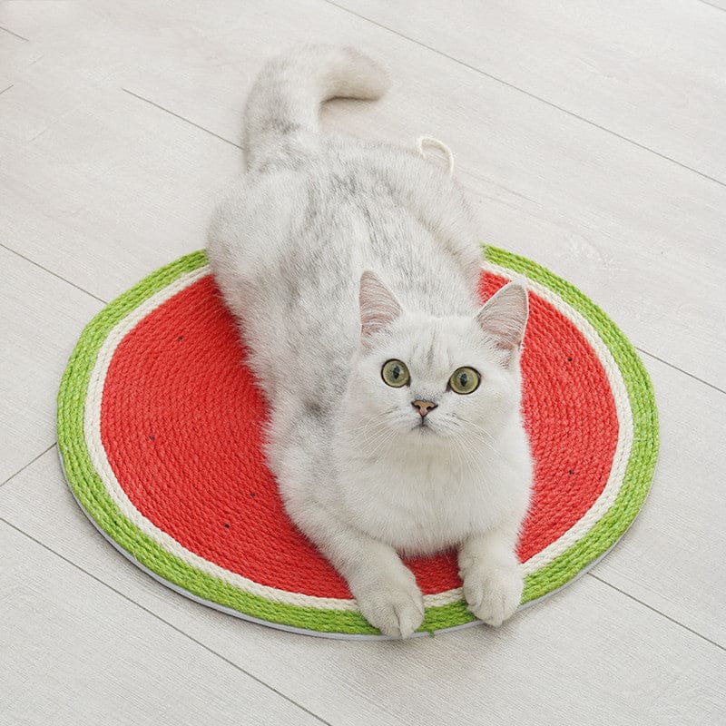 white cat laying watermelon mat