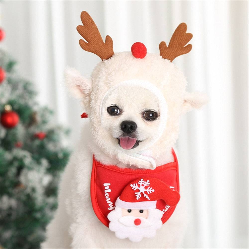 small white dog elk hat red santa bib