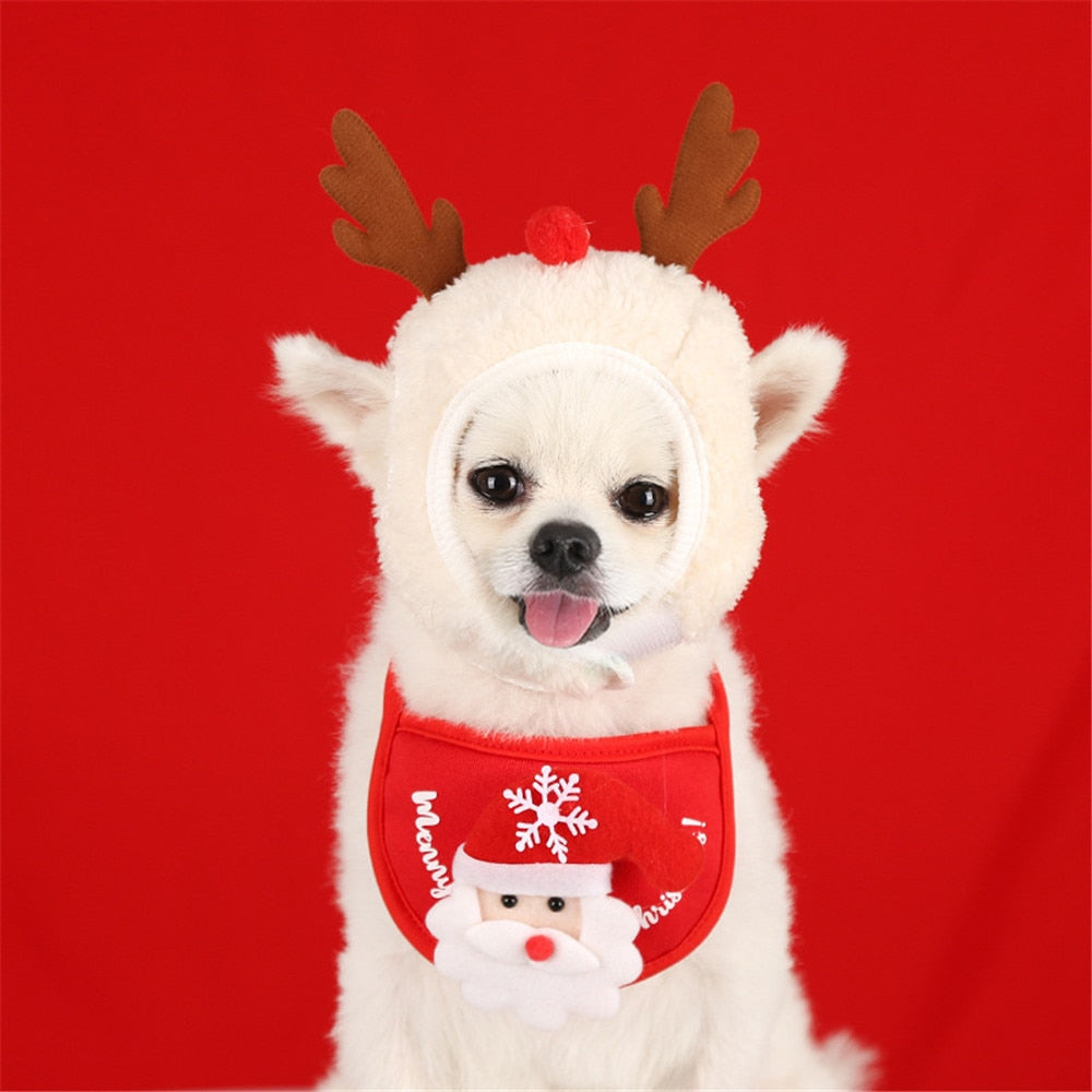 small dog elk hat red santa bib red background