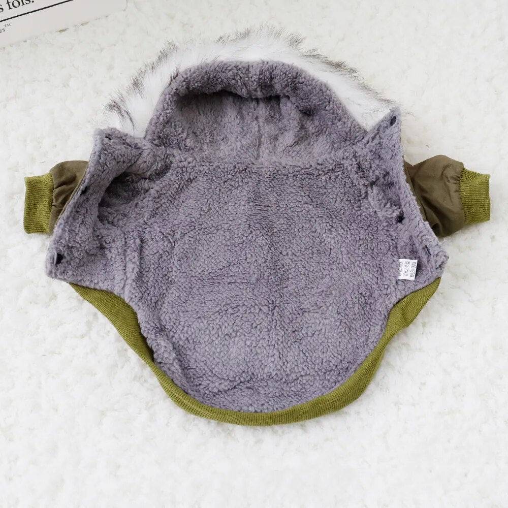 winter dog coat hood furry white background