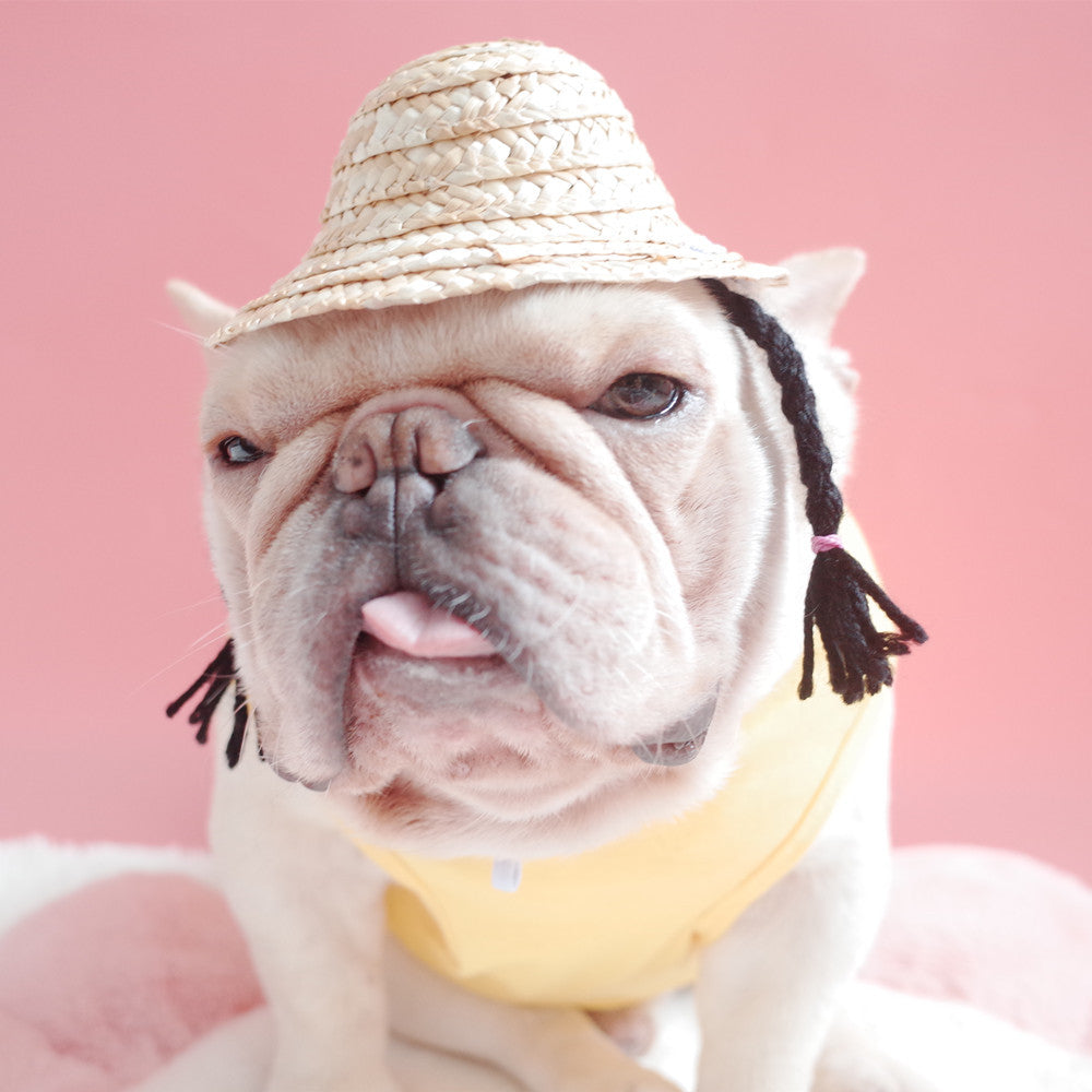 wrinkly dog braided sun hat black braids pink background