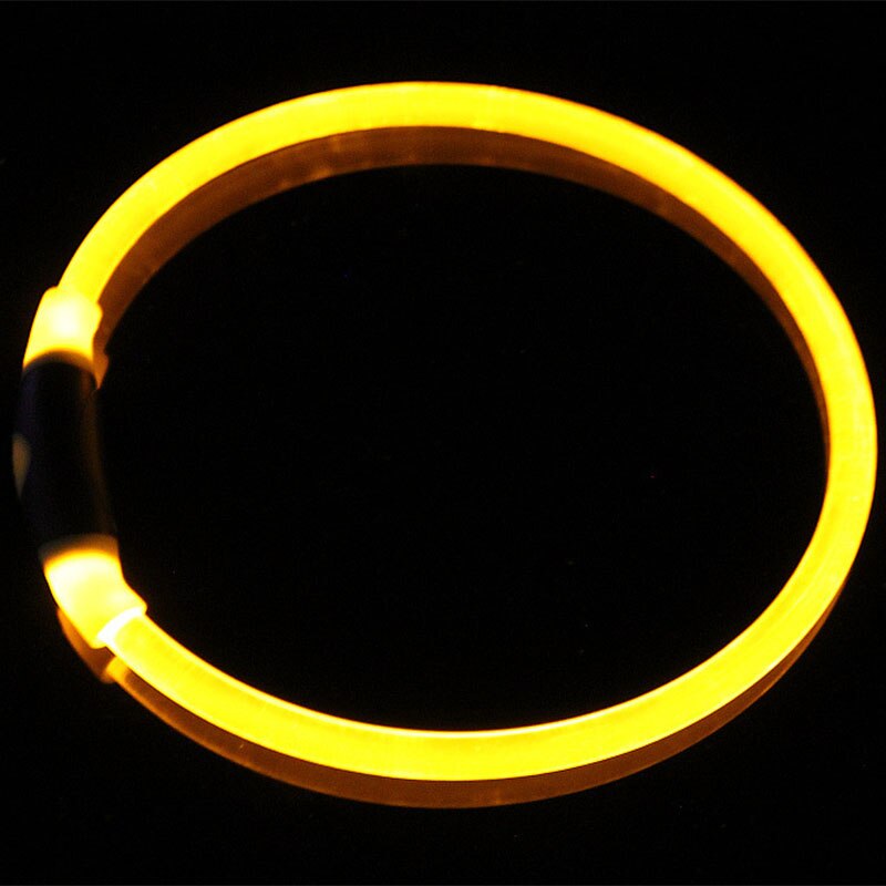 yellow light up glow collar black background